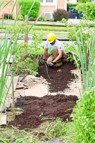 Going green: Local eco groups team up with students to clean area parks